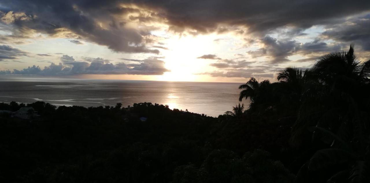 Gite Reve Caraibes Le Petit Havre Bouillante Exteriör bild